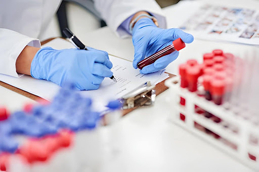 Provider reviewing lab work for medically supervised weight loss in Wellington FL