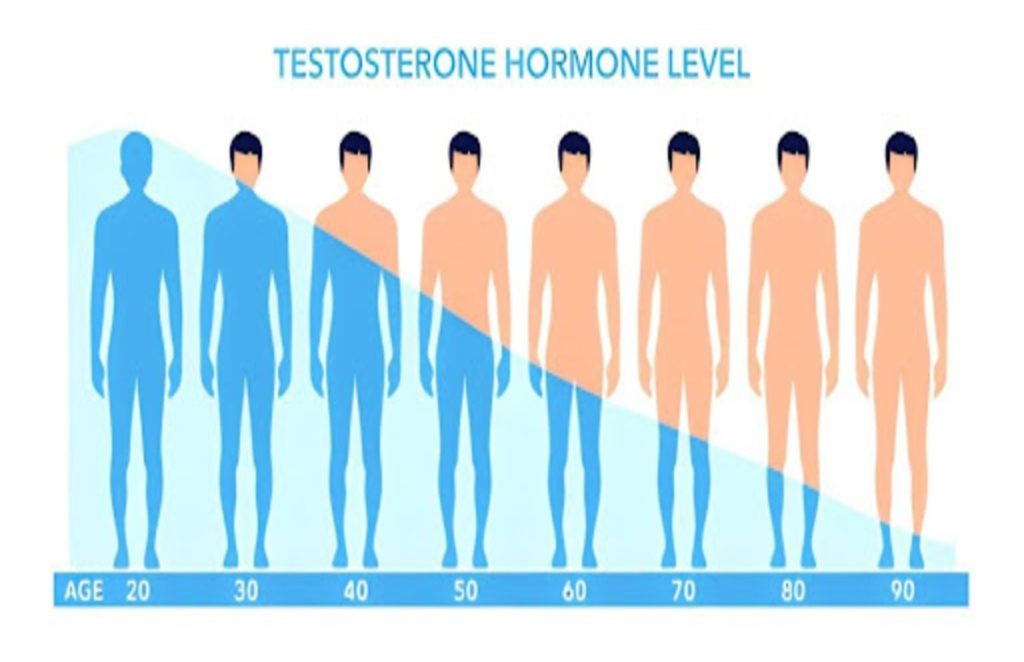 A doctor holding wooden blocks labeled hormone balance during a man’s hormone therapy consultation.